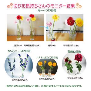 切り花延命剤 切り花長持ちさん 花瓶にポンと入...の詳細画像5
