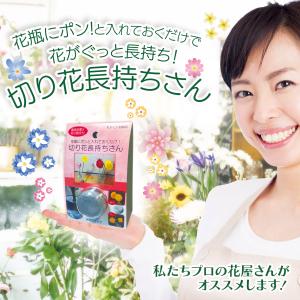 切り花延命剤 切り花長持ちさん 花瓶にポンと入...の詳細画像1