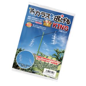 カラスよけ 対策 カラスなぜ逃げるキング2個セット カラス撃退 カラスよけ カラス 撃退 グッズ カ...