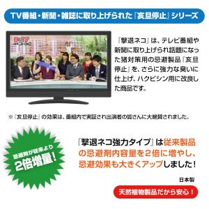野良猫対策 撃退ネコ激臭シート強力タイプ5個入...の詳細画像1