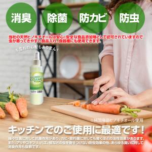 除菌 防虫 防カビ ヒバ抽出 ヒノキチオールス...の詳細画像2