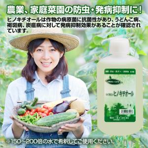 除菌 防虫 防カビ ヒバ抽出・ヒノキチオール5...の詳細画像5