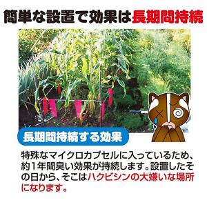 撃退ハクビシン屋外用 10個入 ハクビシン対策...の詳細画像3