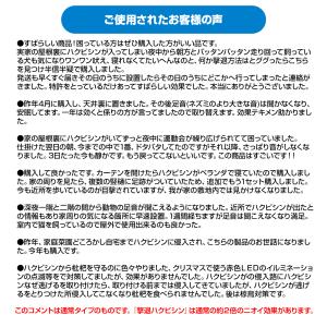 撃退ハクビシン屋外用 10個入 ハクビシン対策...の詳細画像5