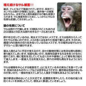 猿 撃退 忌避剤 撃退サル激臭シート 3個入 ...の詳細画像5