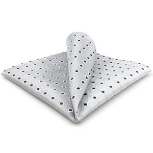 SHLAX&WING メンズ ポケットチーフ シルク グレー ドット ビジネス 32cm 超大