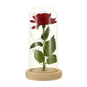 JWMY 薔薇 LEDライト 光るバラ 光る薔薇 ライト ローズライト 造花 フラワーライト インテリアライト ガラスドーム 薔薇ドーム バラドーム