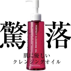 NOWL ノウル ニードルデュアルセラム 30ml×2個セット ニードル美容液 2