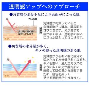 【当日出荷可】 美白 化粧水 トラネキサム酸 ...の詳細画像1