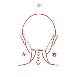人体図 ゴム印 スタンプ 42 女性 顔 背面 化粧箱ケース付き 医療料 カルテ ※ご使用にはスタン...