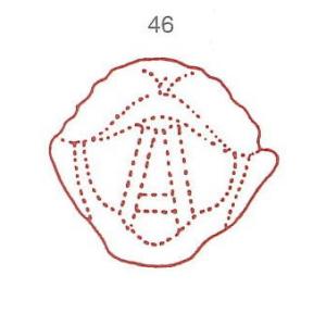 人体図 ゴム印 スタンプ 46 咽喉 口内 声帯 化粧箱ケース付き 医療料 カルテ ※ご使用にはスタ...