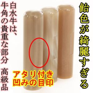 銀行印 実印 印鑑 オランダ水牛 白水牛 牛角...の詳細画像3