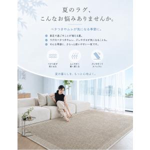 ラグ 夏用 接触冷感 ラグマット マット 2畳...の詳細画像1