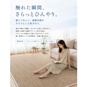 ラグ 夏用 接触冷感 ラグマット マット 2畳...の詳細画像2