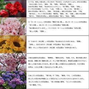 枯れない花 造花 ソープフラワー アーティシャ...の詳細画像5