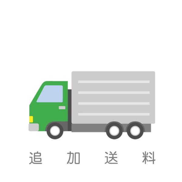 再送用追加送料280円