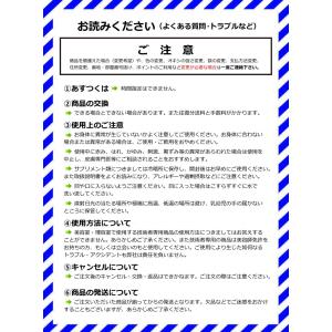 ナンバースリー パーフェットカラー 150g ...の詳細画像3