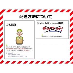 【在庫限り】洗えるバスケット ラバトリー オー...の詳細画像3