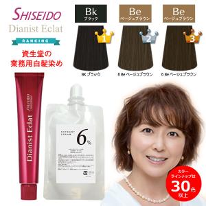 資生堂 ディアニスト エクラ 白髪染め　オキシ 100ml セット 女性用 カラーリング剤 白髪染め サロン専用 ヘアカラー剤 業務用