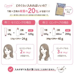 お試し サンプル トリートメント イーズメント...の詳細画像1