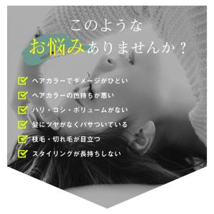 お試し サンプル トリートメント イーズメント...の詳細画像2