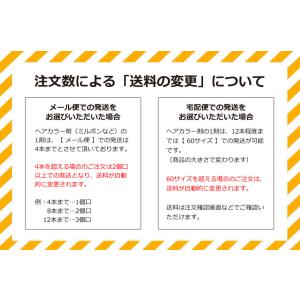ルーチェントカラー オキシ 100ml セット...の詳細画像5