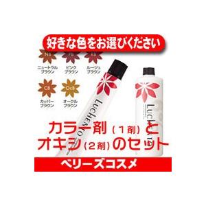 フォード　ルーチェントホワイトカラー白髪染め40本セット 楽天市場】ルーチェントカラー 白髪染め 白髪用 ヘアカラー 女性