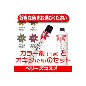 フォード　ルーチェント　プレミアムカラーリング剤48本セット フォード ルーチェントプレミアムカラー 48本セット フォード