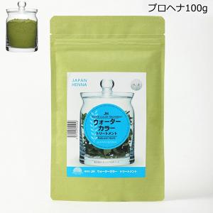 JAPAN HENNA ヘナ ジャパンヘナ プラチナ ブルー ヘナパウダー 業務用
