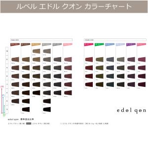 ルベル エドル クオン 120g オキシ 10...の詳細画像2