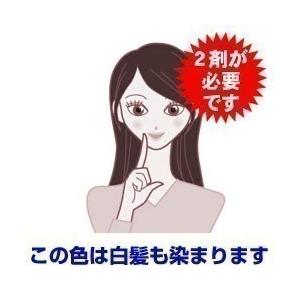 ミルボン オルディーブ シーディル s9PA ...の詳細画像1