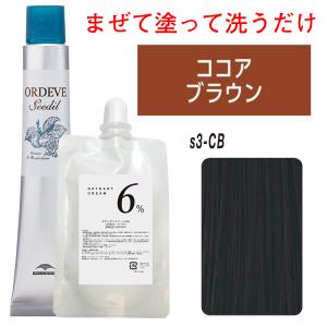 ORDEVE（オルディーブ） ミルボン アディクシー オキシ 1リットル 女性