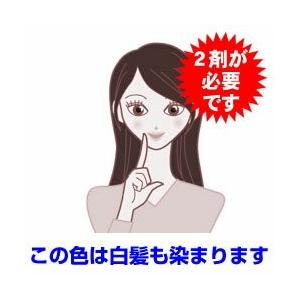 ミルボン オルディーブ ボーテ 白髪染め メー...の詳細画像2