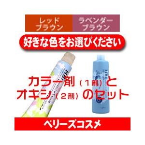 ULTIST 資生堂 アルティスト 80g と オキシ 100ml セット 女性用