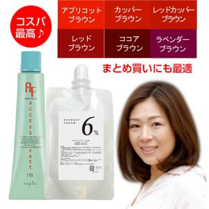 ナプラ アクセスフリー ヘアカラーhb オキシ 100ml セット 女性用 カラーリング剤 白髪染め サロン専用 ヘアカラー剤 業務用