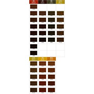 ナプラ アクセスフリー オキシ 100ml セ...の詳細画像1