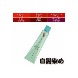 サロン用カラーリング剤セット SUNCALL（サンコール） レアラカラー アクセントカラー 女性用 カラー