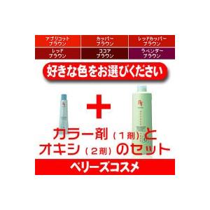 napla（ナプラ） アクセスフリー 白髪染め オキシセット : ベリーズ