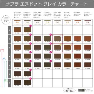 N. エヌドットカラー 白髪染め 1本と 10...の詳細画像2