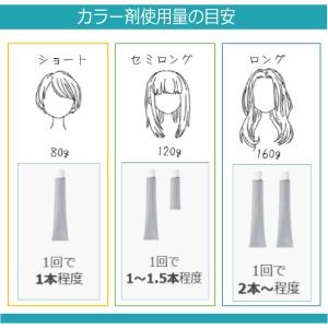 N. エヌドットカラー 白髪染め 1本と 10...の詳細画像5