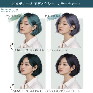[Aページ] オルディーブアディクシー 4本セ...の詳細画像5
