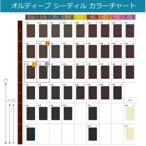 ミルボン オルディーブ シーディル 80g オ...の詳細画像2