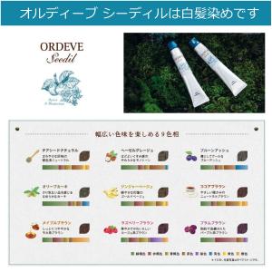ミルボン オルディーブ シーディル 80g オ...の詳細画像4