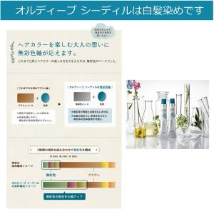 ミルボン オルディーブ シーディル 80g オ...の詳細画像5