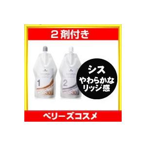 シュワルツコフ ナチュラルスタイリングウォータリングCYS30 1剤と2剤のセット 各400ml｜berryscosme