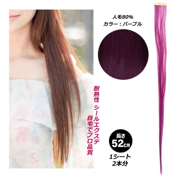 パープル 紫 シール エクステ 人毛 ロング ヘアエクステ カラーエクステ 長さ52cm 1枚