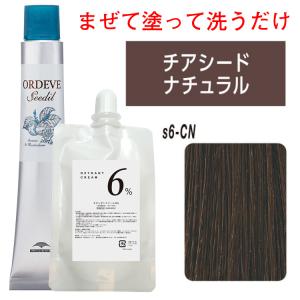 ホーユー アシュレーQS-5 E おしゃれなスピードヘアカラー 業務用3本