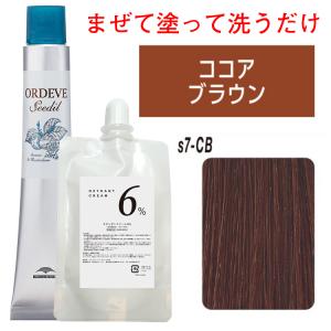 ORDEVE（オルディーブ） ミルボン ベーシックトーン オキシ 1リットル