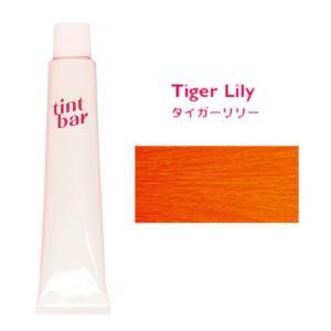 ティントバー ヘアカラー カラーリング クリア 90g オキシ100ml セット