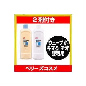 LebeL ルベル スタイリッシュシルキー H 1剤と2剤のセット 各